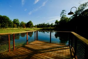 Deck looking over Hines Lake in Clay Family Eastern Glades; Image Courtesy of Memorial Park Conservancy (Photo by Memorial Park Conservancy)