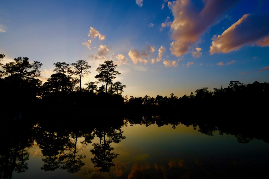 Already visitors are flocking to Hines Lake in Memorial Park at sunset when the temps cool and a breeze kicks in. (Photo by Memorial Park Conservancy)