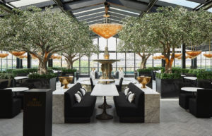 rooftop bar dallas
