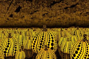 Yayoi Kusama's "All the Eternal Love I Have for the Pumpkins," - dallas museum of art