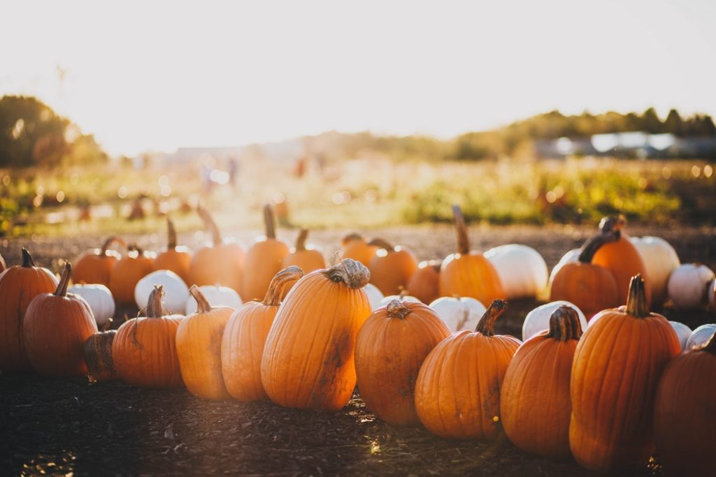 fall activities