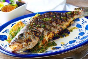 Paradiso fish