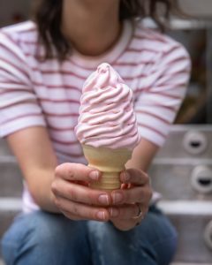 carvel ice