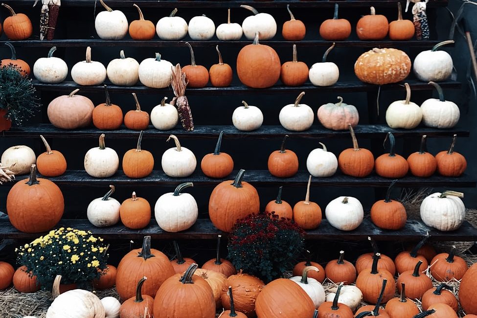 halloween image