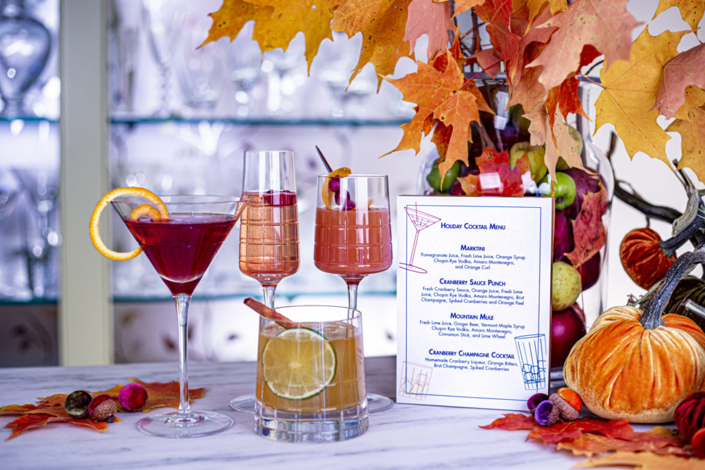 Mark Addison 4 Cocktail Chameleon Fall Cocktails- Cranberry Champagne Cocktail, Cranberry Sauce Punch, Marktini Mountain Mule