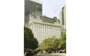 ThePlazaResidences1CentralParkSouth10071009-CentralParkSouthNewYork_Elvira_Navarro_DouglasElliman_Photography_33780585_high_res