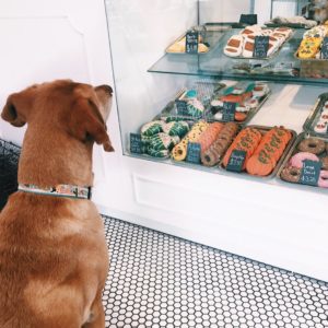 Wag Canine Emporium