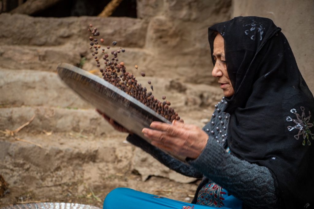 Ascension – One of the female Qabal coffee farmers inspecting her beans