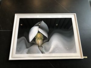Crimson Art Collection