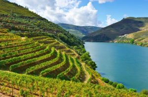 Vinho Verde