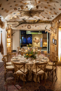 Blooming Gallery Decor – Cabinet of Curiosities