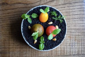 Tomato Garden at Money Cat (Photo by Kimberly Park)