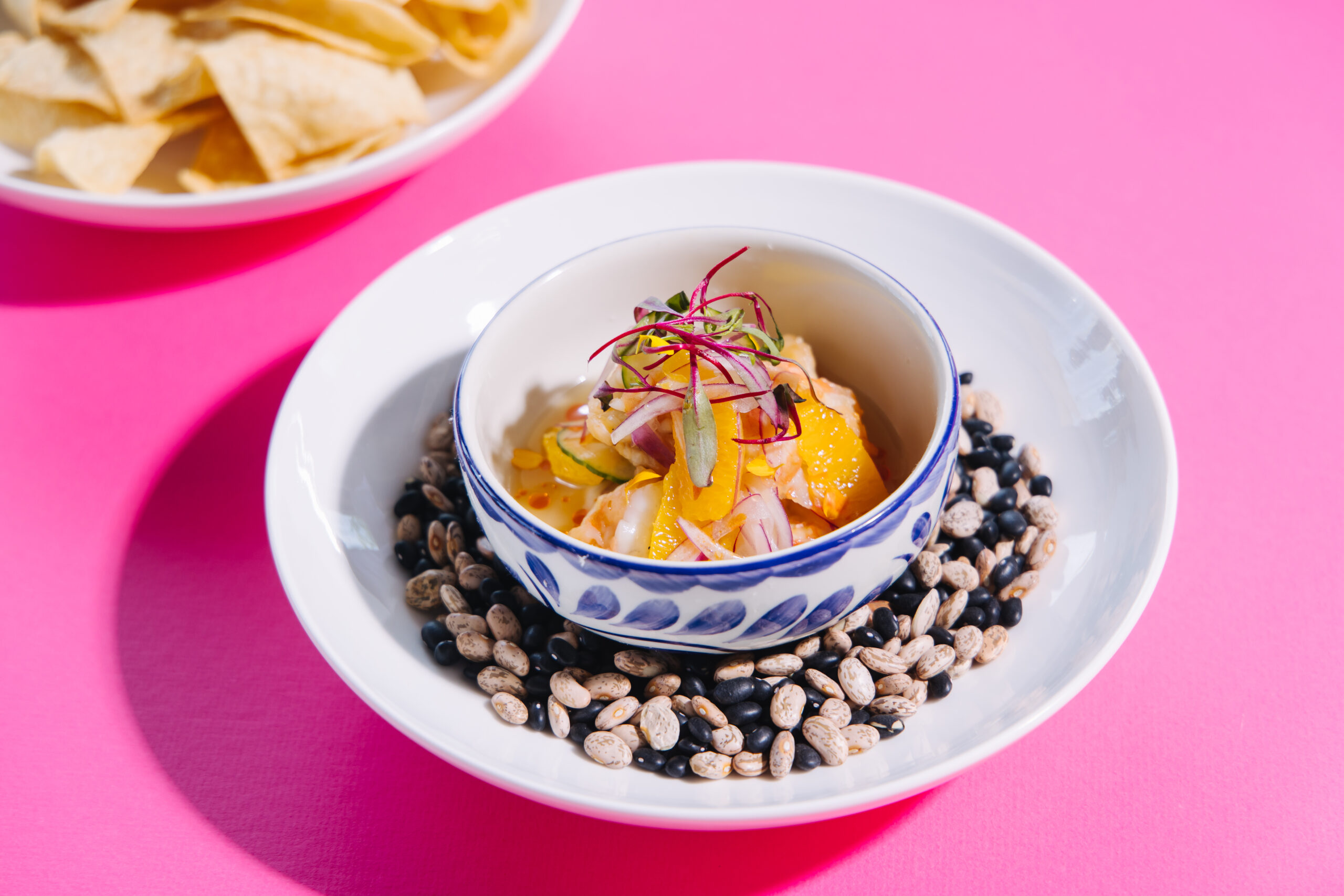 Wild Salsa