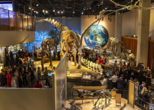 Night at the Museum Benefiting Perot Museum of Nature and Science